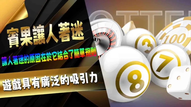 為什麼賓果讓人著迷?